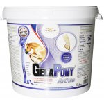 Gelapony Arthro 10,8 kg – Hledejceny.cz