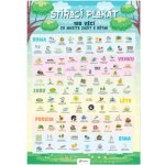 Stírací plakát – 100 věcí co musíte zažít s dětmi – Hledejceny.cz