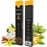 Bilovit Přírodní aromatické vonné tyčinky Nag Champa 40 g – Hledejceny.cz