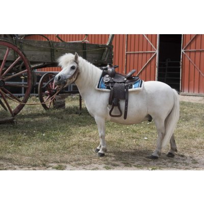 Westride Dečka podsedlová Navajo westernová turquoise black white – Zboží Dáma