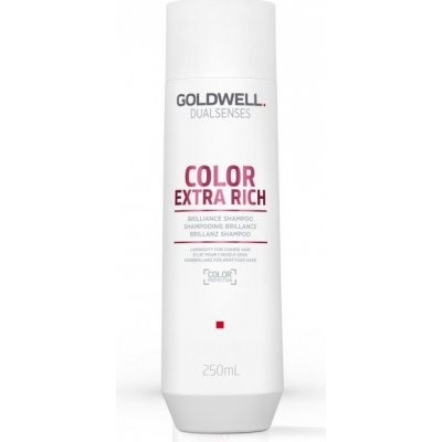 Goldwell Dualsenses Color Extra Rich Brilliance Shampoo šampon pro nepoddajné barvené vlasy 250 ml – Zbozi.Blesk.cz