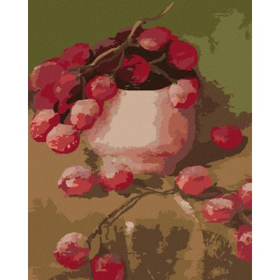 Malování podle čísel Hroznové víno v misce – Zboží Mobilmania