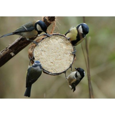 Unipet International Ltd. Krmítko pro ptáky Kokos s moučnými červy Suet To Go 200 g – Zbozi.Blesk.cz