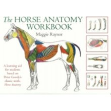 The Horse Anatomy Workbook - M. Raynor