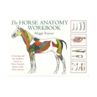 The Horse Anatomy Workbook - M. Raynor – Hledejceny.cz