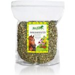 Stiefel Byliny pro podporu imunitního systému 1 kg – Hledejceny.cz