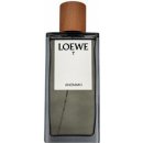 Loewe 7 Loewe Anonimo parfémovaná voda pánská 100 ml