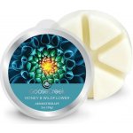 Goose Creek Candle Vonný Vosk Honey & Wildflower 59 g – Hledejceny.cz