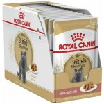 Royal Canin British Shorthair Gravy 12 X 85 g – Sleviste.cz