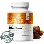 MycoMedica Ohňovec Phellinus linteus 90 kapslí – Hledejceny.cz