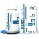 VetaPro Fitpet Control 60 cps – Hledejceny.cz