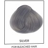 Barva na vlasy La Riché Directions 26 Silver 89 ml