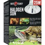 Repti Planet Halogen Sun 25 W – Zbozi.Blesk.cz
