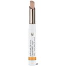 Dr.Hauschka Pure Care Cover Stick natural 01 2 g