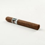 Asylum Schizo Toro 1 ks – Zboží Mobilmania