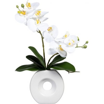 Orchidej bílá ve váze, 35cm – Sleviste.cz