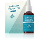 Energy Tribulus terrestris forte 30 ml