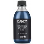 Niamh Hairkoncept Dandy Hair Ice Lotion posilující a osvěžující lotion 250 ml – Hledejceny.cz