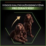 Pro Plan Large Puppy Robust Healthy Start kuře 12 kg – Hledejceny.cz