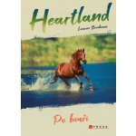 Heartland 2 - Po bouři - Lauren Brooke – Hledejceny.cz