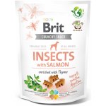 Brit Care Dog Crunchy Cracker Insects with Salmon enriched with Thyme 200 g – Zbozi.Blesk.cz