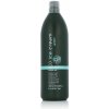 Šampon Inebrya Green Moisture Gentle Shampoo 1000 ml