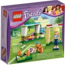 LEGO® Friends 41011 Stephanie trénuje fotbal