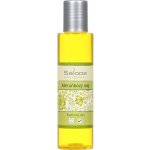 Saloos meruňkový rostlinný olej lisovaný za studena 500 ml – Hledejceny.cz