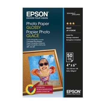 Epson C13S042545