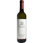 Rudolf Prchal Ryzlink rýnský 2025 12,5% 0,75 l (holá láhev) – Hledejceny.cz
