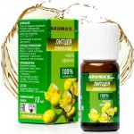 Aroma Saules esenciální olej Lytcea citronová 10 ml – Hledejceny.cz