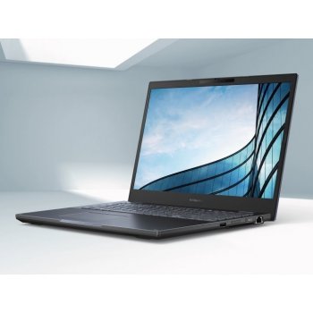 Asus ExpertBook B2 B2502CVA-KJ0558X