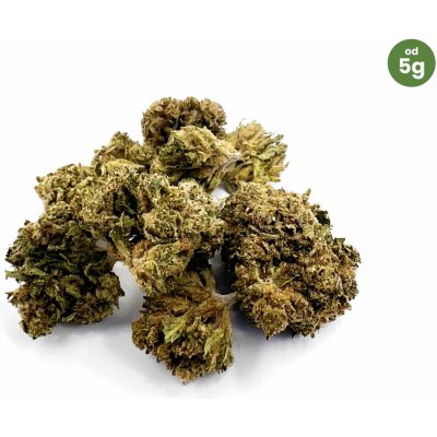 CBDčko CBD Konopný květ Harlequin GDP THC do 0,5% 25 g – Zboží Dáma