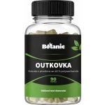 Botanic Outkovka Coriolus 90 kapslí – Hledejceny.cz