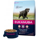Eukanuba Senior Large Breeds Chicken 3 kg – Hledejceny.cz