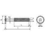 šroub M6x20 BÍLÝ ZINEK nábytkářský válcová hlava 17mm – Zboží Mobilmania