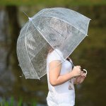 Průhledný deštník Queen – Zboží Dáma