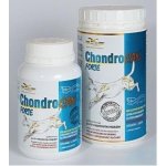Orling - Chondrocan Forte 150 g – Hledejceny.cz