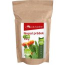 Aspen team Nopal prášek Organic Raw 330 g