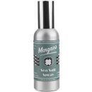 Morgan's Sea Salt texturizer do vlasů 100 ml