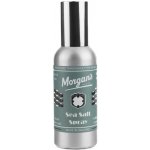 Morgan's Sea Salt texturizer do vlasů 100 ml – Hledejceny.cz