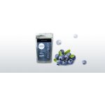 Health Link Bio Borůvkový prášek 80 g – Hledejceny.cz