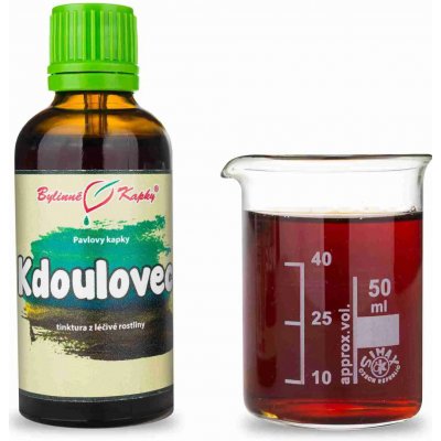 Bylinné kapky Pavlovy Kdoulovec TCM tinktura 50 ml – Hledejceny.cz