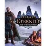 Pillars of Eternity - The White March: Part 1 – Hledejceny.cz