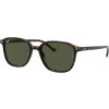 Sluneční brýle Ray-Ban 2193 90231