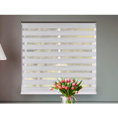 Fexi Roleta Den a noc, Světlá bříza, B 002 150x95 cm levá-bílá – Sleviste.cz