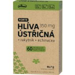 Vitar EKO Hlíva ústřičná 60 kapslí – Hledejceny.cz