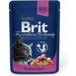 Brit Premium by Nature Cat Salmon & Trout 100 g – Hledejceny.cz