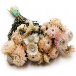 mech-mech.cz Sušená Slaměnka (Helichrysum) - světle růžová – Zboží Dáma