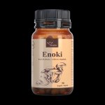 Serafin Enoki 90 ks – Hledejceny.cz